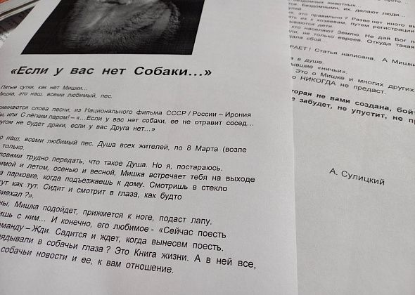 Горожане ждут четвероногую любимицу двора, которая исчезла после отлова